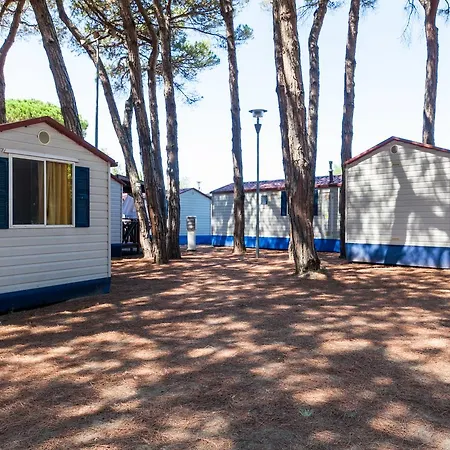 Pineta Sul Mare - Campings.com Кемпинг *